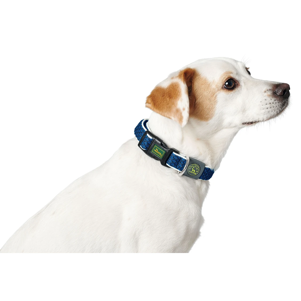 Hunter hunde halsbånd Hilo Blå M-L - justerbart hundehalsbånd (33-50 cm, B 2,5 cm)
